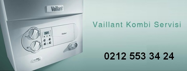 Vaillant Servis, Bakım, Arıza